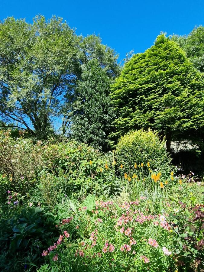 Yellowwood Cottage ヒメヴィル エクステリア 写真