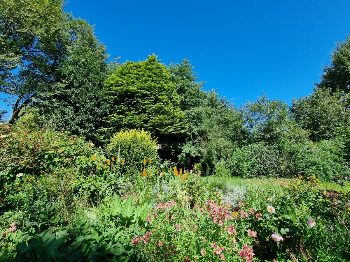 Yellowwood Cottage ヒメヴィル エクステリア 写真