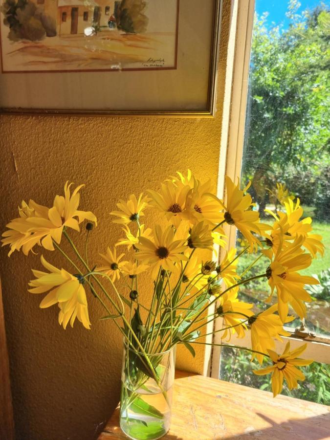 Yellowwood Cottage ヒメヴィル エクステリア 写真